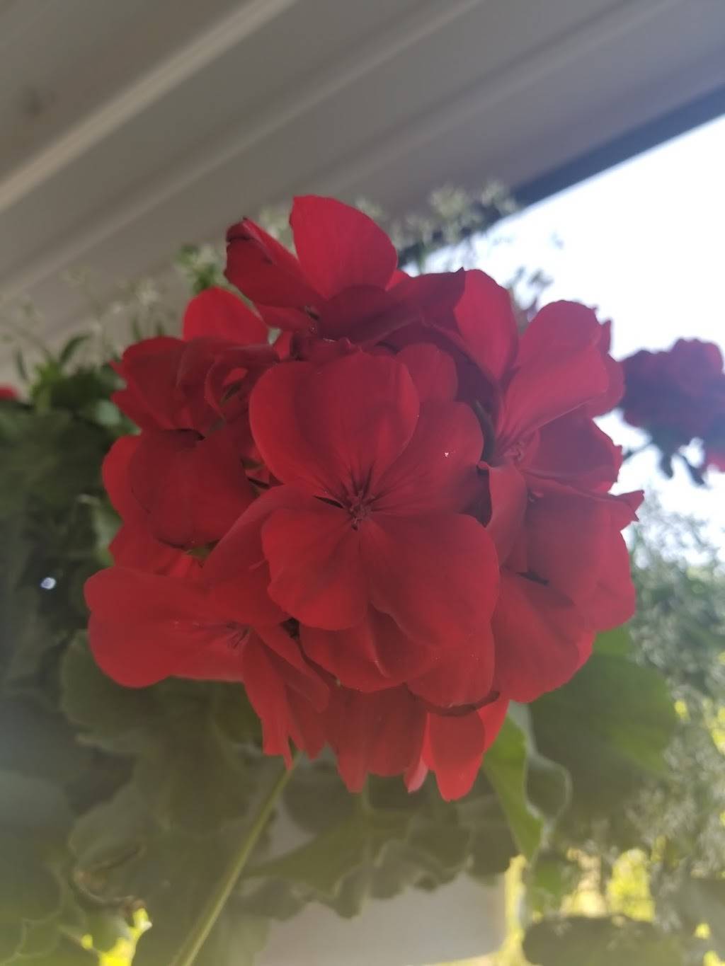 Red Oak Inn | restaurant | Tuscumbia, MO 65082, USA | 5733692770 OR +1 573-369-2770