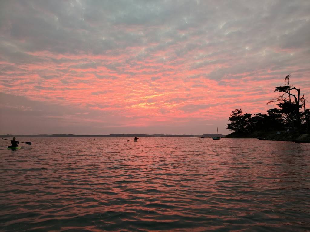 Back Bay Cafe | cafe | 1399 2nd St, San Luis Obispo, CA 93402, USA | 8055285607 OR +1 805-528-5607