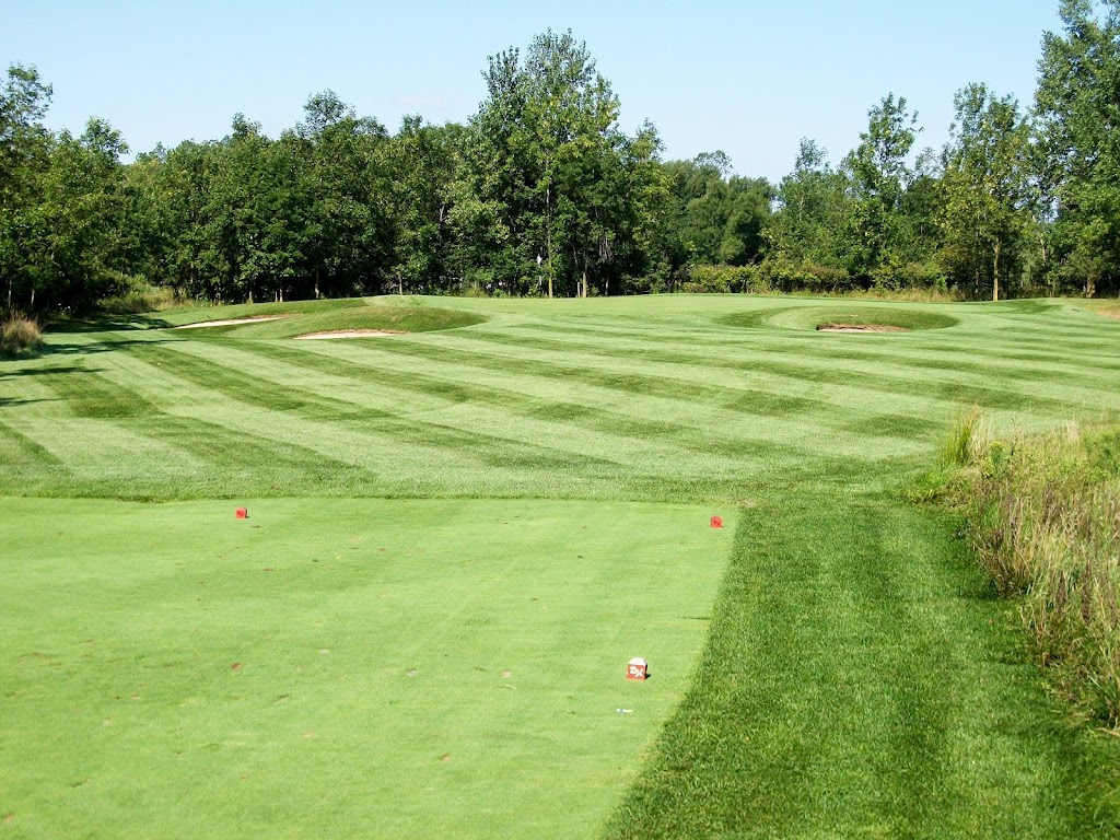 Diamond Hawk Golf Course & Pub | restaurant | 255 Sonwil Dr, Cheektowaga, NY 14225, USA | 7166510700 OR +1 716-651-0700