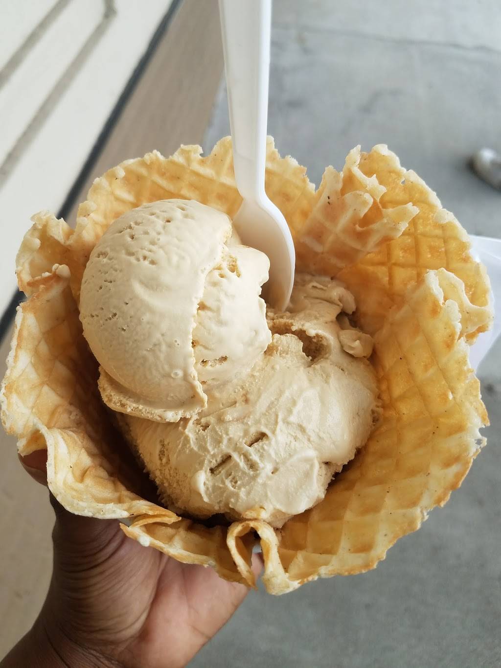 Cold Stone Creamery | bakery | 1001 Baltimore Pike, Springfield, PA 19064, USA | 6103287600 OR +1 610-328-7600