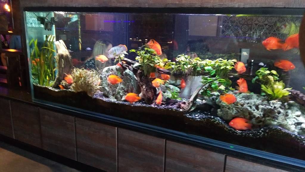 Sushi Hana Brookside | restaurant | 3739 S Peoria Ave, Tulsa, OK 74105, USA | 9187129338 OR +1 918-712-9338