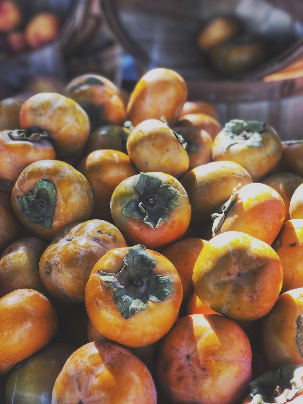 Flavor Pirate | meal takeaway | 350 Clinton St Suite A, Costa Mesa, CA 92626, USA | 9498428355 OR +1 949-842-8355