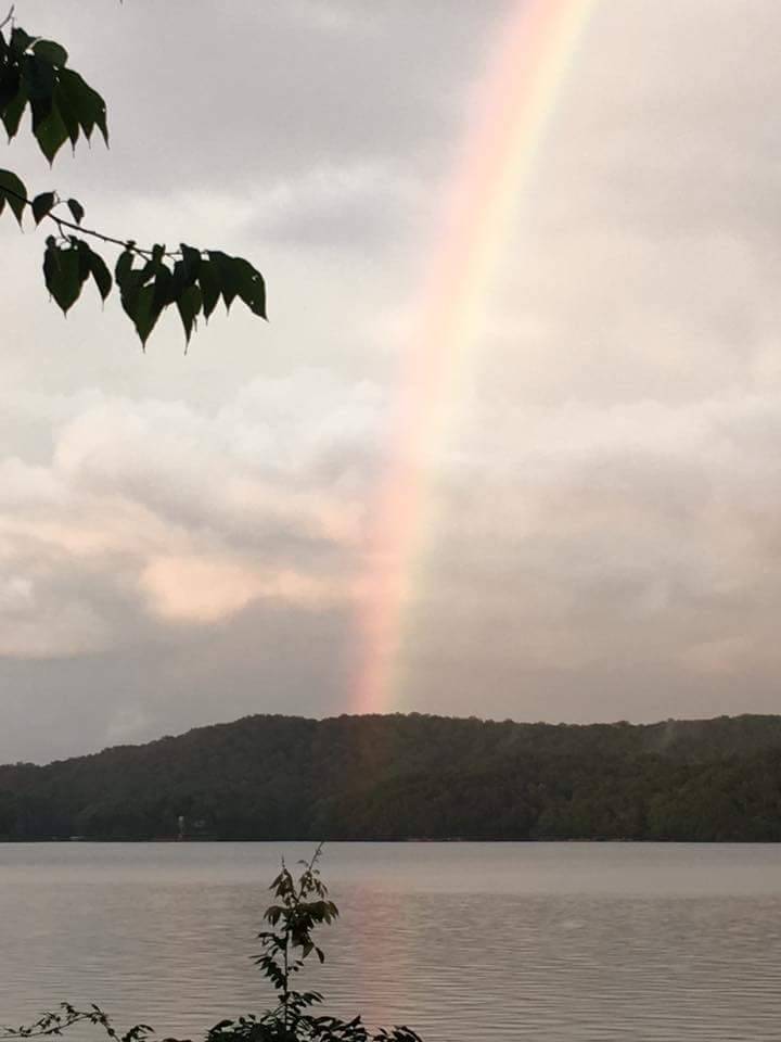 Lay Port Marina | restaurant | 110 Lay Port Loop, Shelby, AL 35143, USA | 2056697746 OR +1 205-669-7746