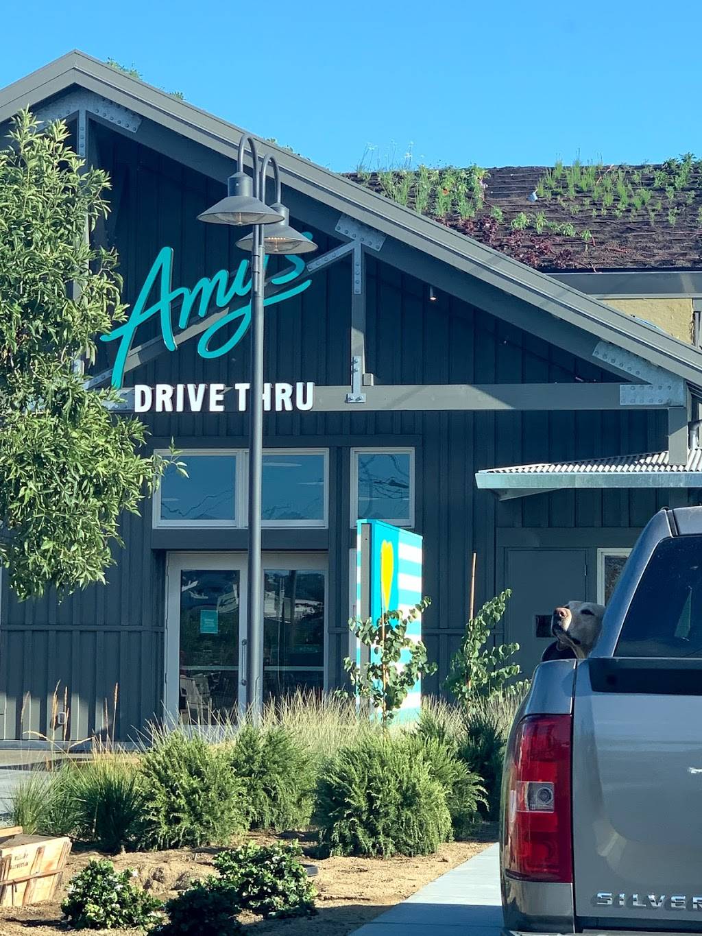 Amy’s Drive Thru | restaurant | 5839 Paradise Dr, Corte Madera, CA 94925, USA | 4157376055 OR +1 415-737-6055
