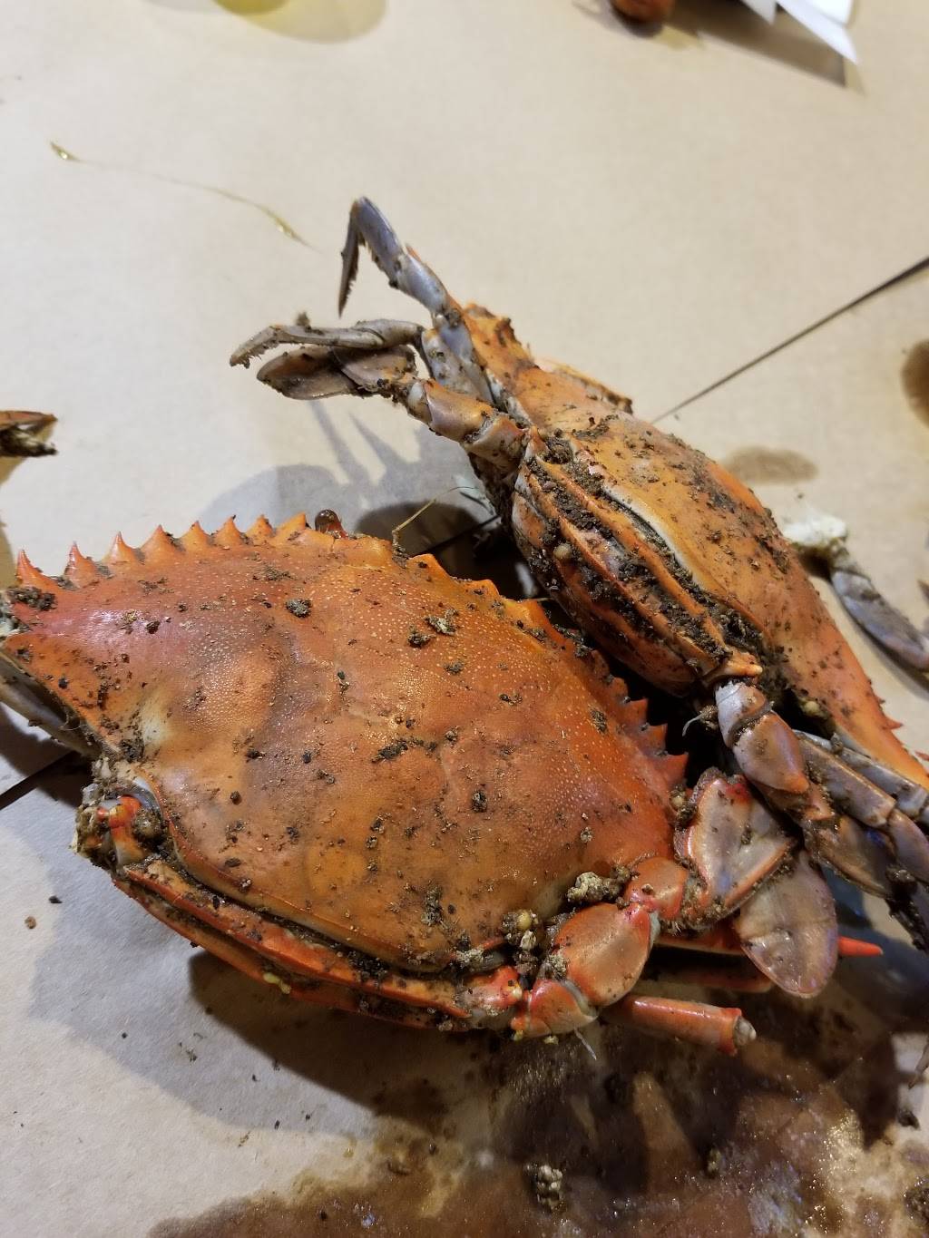 Capital Lounge, Inc. | restaurant | 1531 Pennsylvania Ave, Baltimore, MD 21217, USA | 4105239300 OR +1 410-523-9300