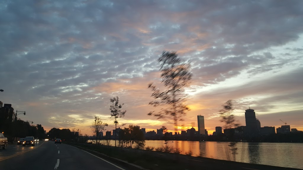 Annas Taqueria | restaurant | 446 Harvard St, Brookline, MA 02446, USA | 6172777111 OR +1 617-277-7111