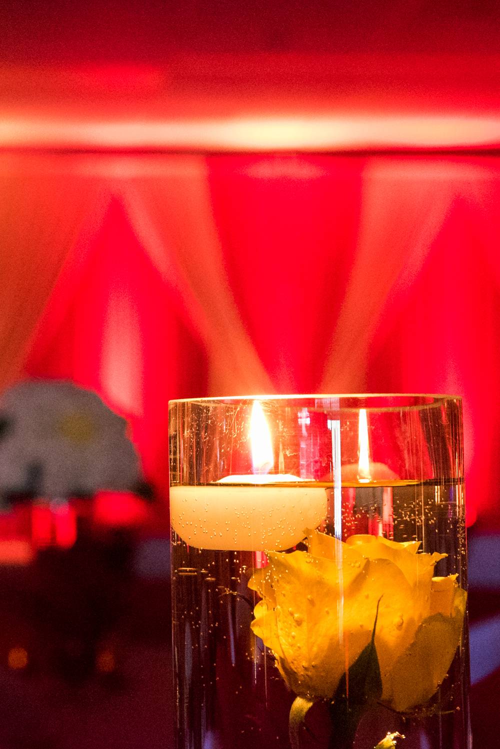 The Golden Peacock | restaurant | 24989 Santa Clara St, Hayward, CA 94544, USA | 5107322625 OR +1 510-732-2625