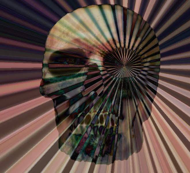 Siam Fine Thai Cuisine | restaurant | 105 East Ave, Rochester, NY 14604, USA | 5852327426 OR +1 585-232-7426