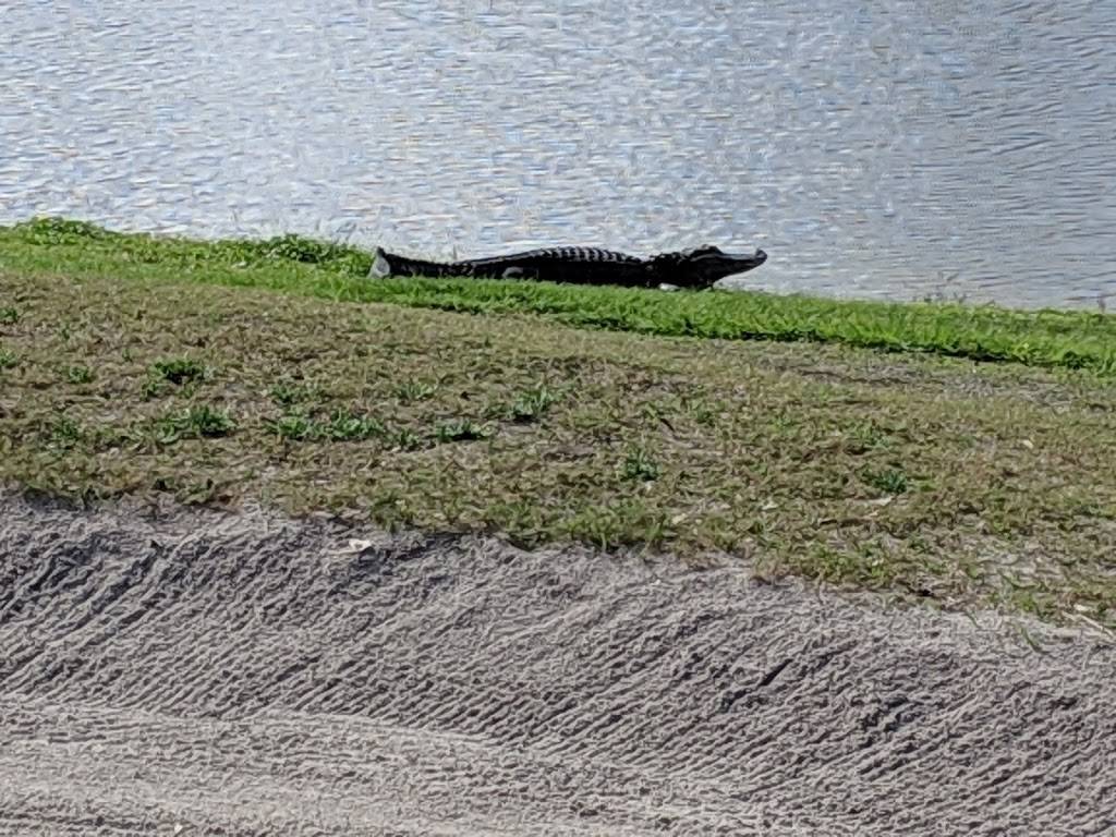 Cypress Creek Golf Club | restaurant | 1011 Cypress Village Blvd, Ruskin, FL 33573, USA | 8136348888 OR +1 813-634-8888