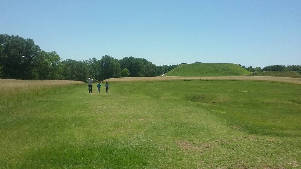 Hot Wings Plus | restaurant | 3479 Pio Nono Ave, Macon, GA 31206, USA | 4782576870 OR +1 478-257-6870