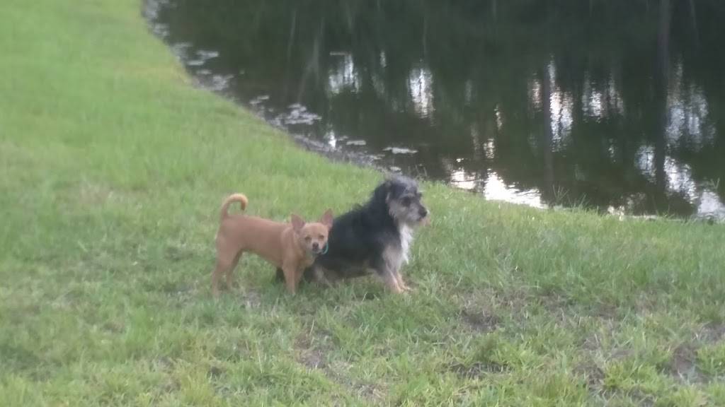 Hibernia Pavilion | shopping mall | 865 Hibernia Rd, Fleming Island, FL 32003, USA | 9045987000 OR +1 904-598-7000