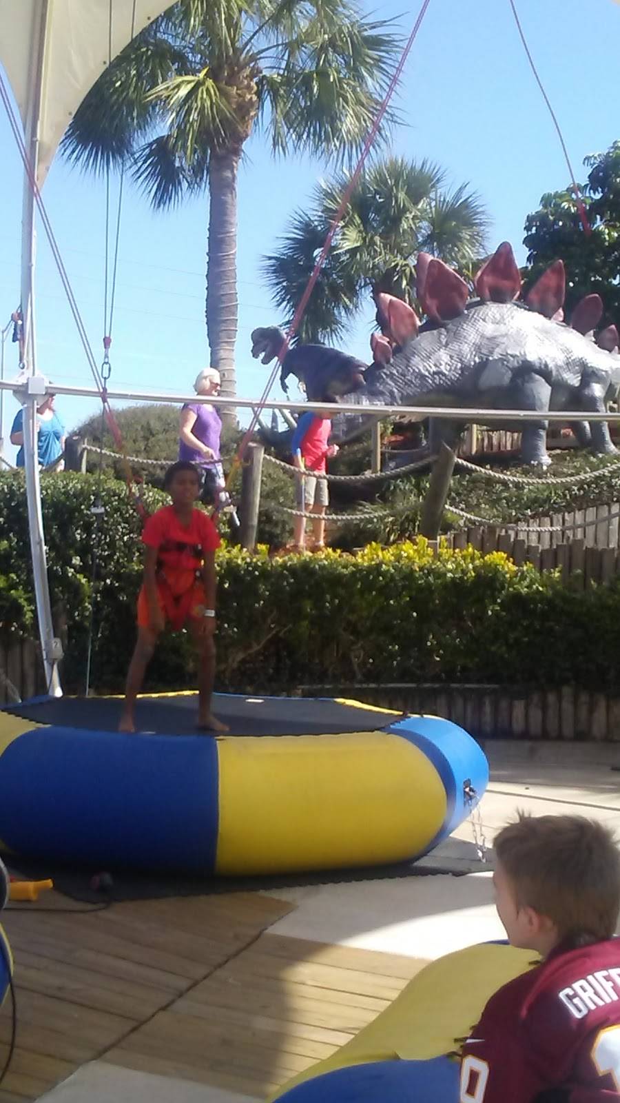 Celebration Station | restaurant | 24546 US Hwy 19 N, Clearwater, FL 33763, USA | 7277911799 OR +1 727-791-1799