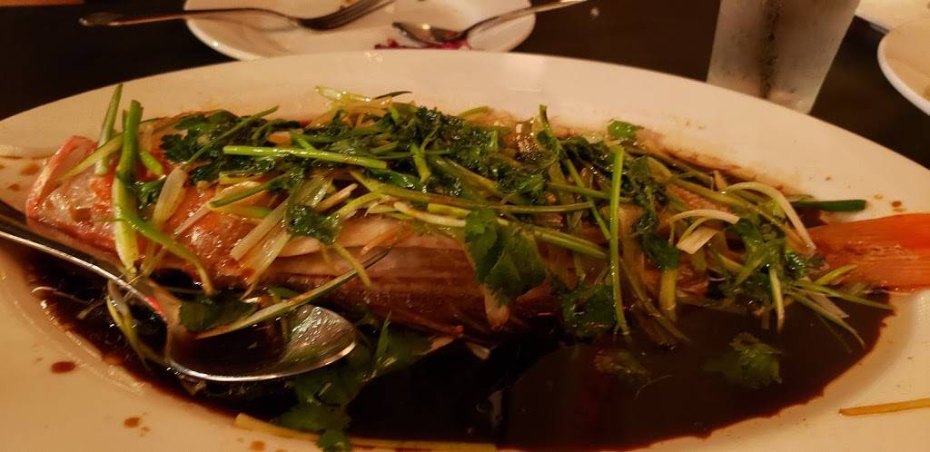 Spicy Chen Asian Bistro | restaurant | 12343 Barker Cypress Rd, Cypress, TX 77429, USA | 2817462226 OR +1 281-746-2226