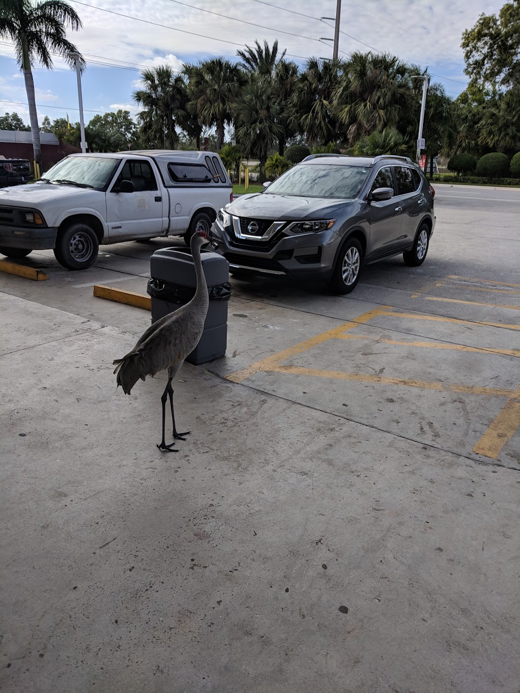 Shell | restaurant | 14680 Park of Commerce Blvd, Jupiter, FL 33478, USA | 5616940318 OR +1 561-694-0318