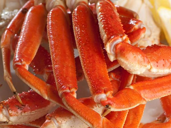 City Island Seafood Shack | restaurant | 2049 Williamsbridge Rd, The Bronx, NY 10462, USA | 9293713252 OR +1 929-371-3252