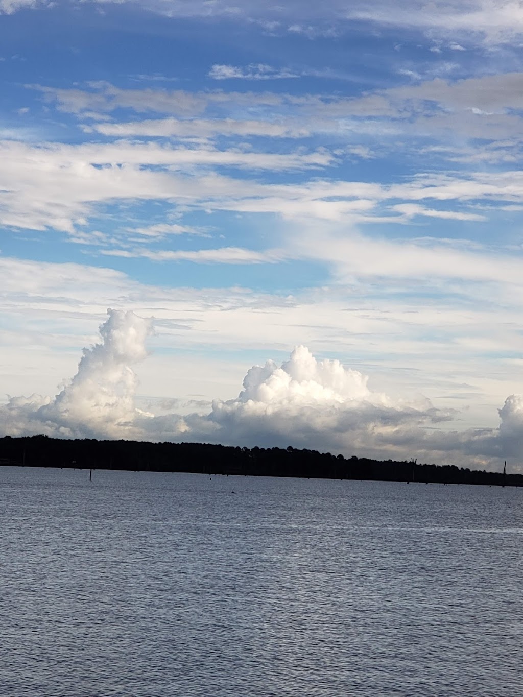 Bass Haven Restaurant | restaurant | 70 Lafayette #235, Taylor, AR 71861, USA | 8706946221 OR +1 870-694-6221