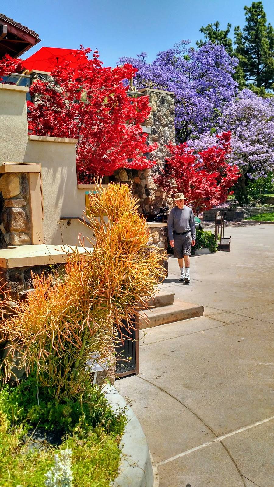 Hilltop Restaurant and Bar | restaurant | 1500 E Walnut Ave, Burbank, CA 91501, USA | 8187365530 OR +1 818-736-5530