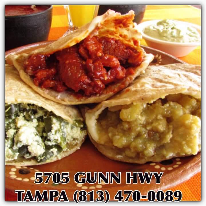 Tacos Valarta | restaurant | 5705 Gunn Hwy, Odessa, FL 33556, USA | 8134700089 OR +1 813-470-0089