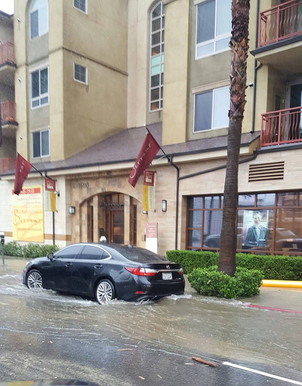 California Pizza Kitchen at Encino | restaurant | 16101 Ventura Blvd #200, Encino, CA 91436, USA | 8189077783 OR +1 818-907-7783