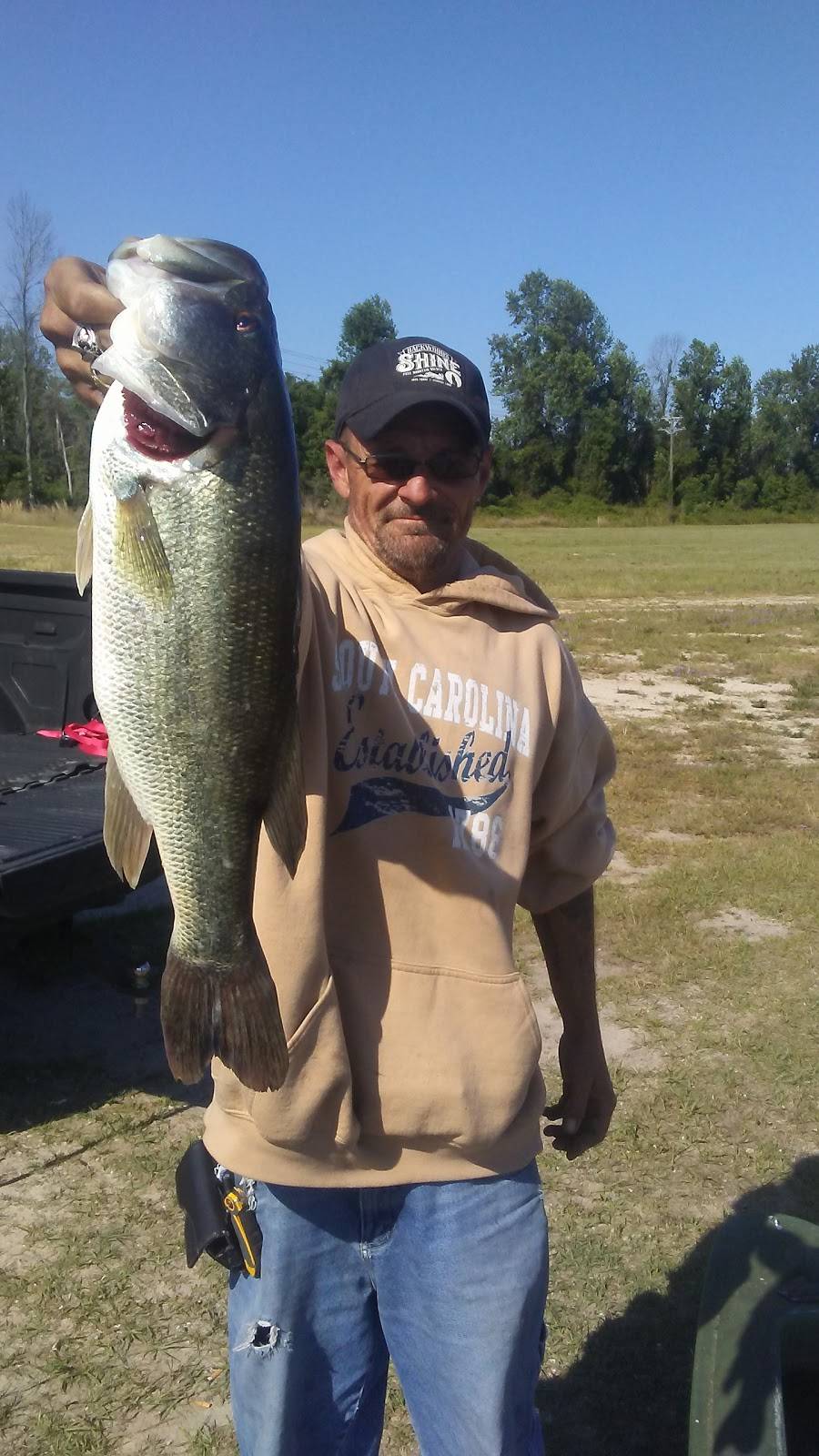 Pilot Travel Center | restaurant | 3006 N Williston Rd, Florence, SC 29506, USA | 8436626972 OR +1 843-662-6972