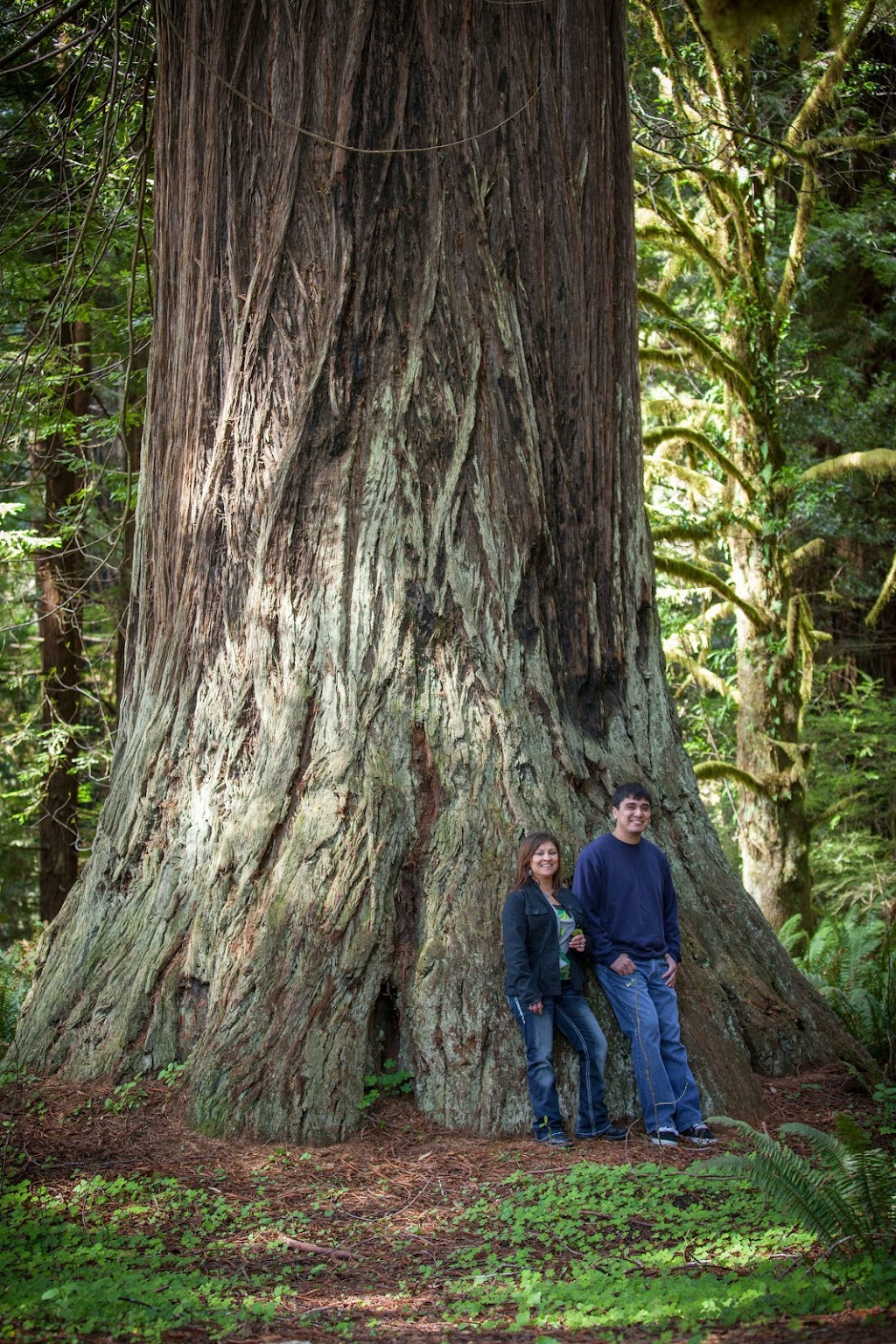 Redwood Hotel and Casino | restaurant | 171 Klamath Blvd, Klamath, CA 95548, USA | 7074821777 OR +1 707-482-1777