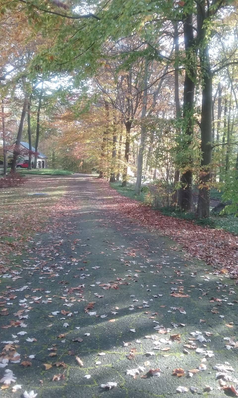 peter the greek house number | restaurant | 456 Cheese Spring Rd, New Canaan, CT 06840, USA | 2035243587 OR +1 203-524-3587