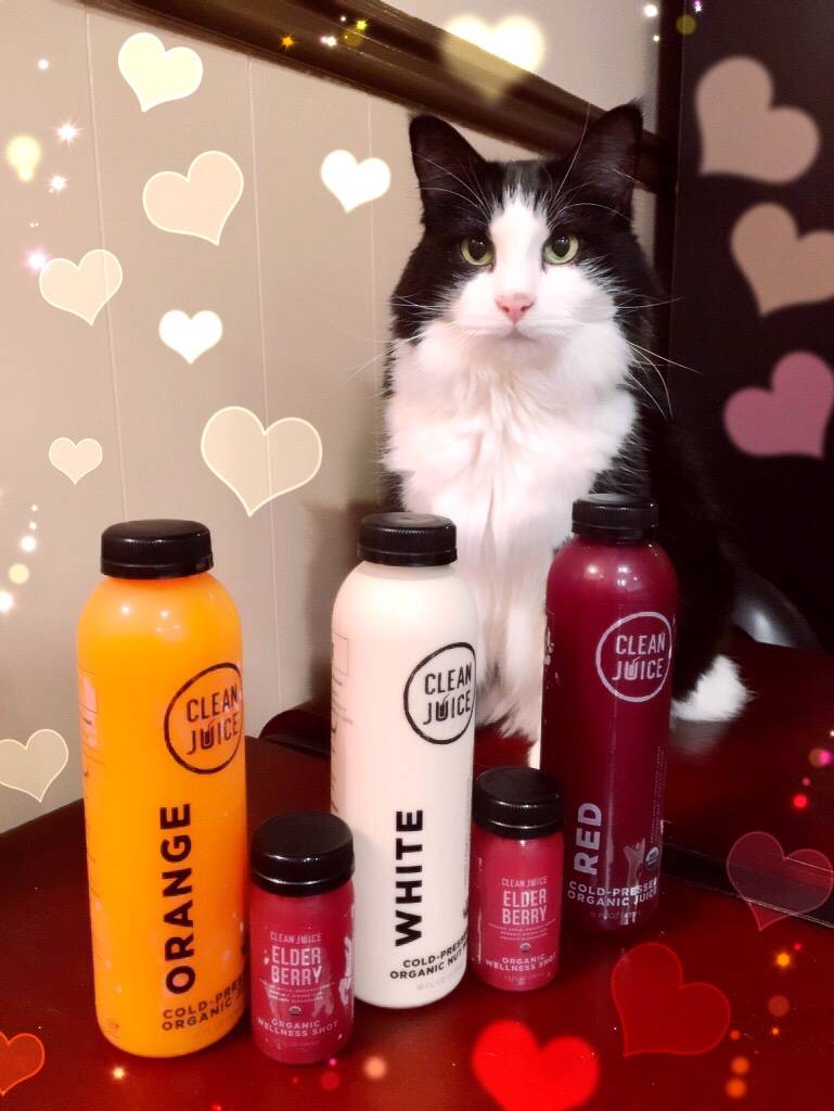 Clean Juice | restaurant | 2516 N McMullen Booth Rd Suite A, Clearwater, FL 33761, USA | 7279533719 OR +1 727-953-3719