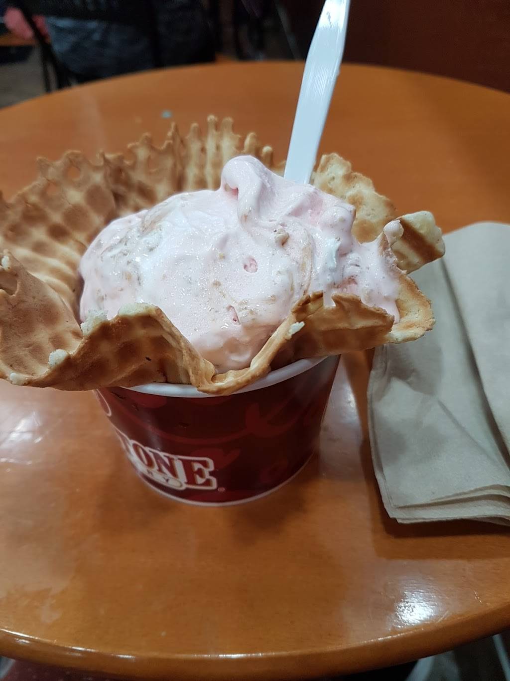 Cold Stone Creamery | bakery | 3810 W Neptune St, Ste B6, Tampa, FL 33629, USA | 8132586269 OR +1 813-258-6269