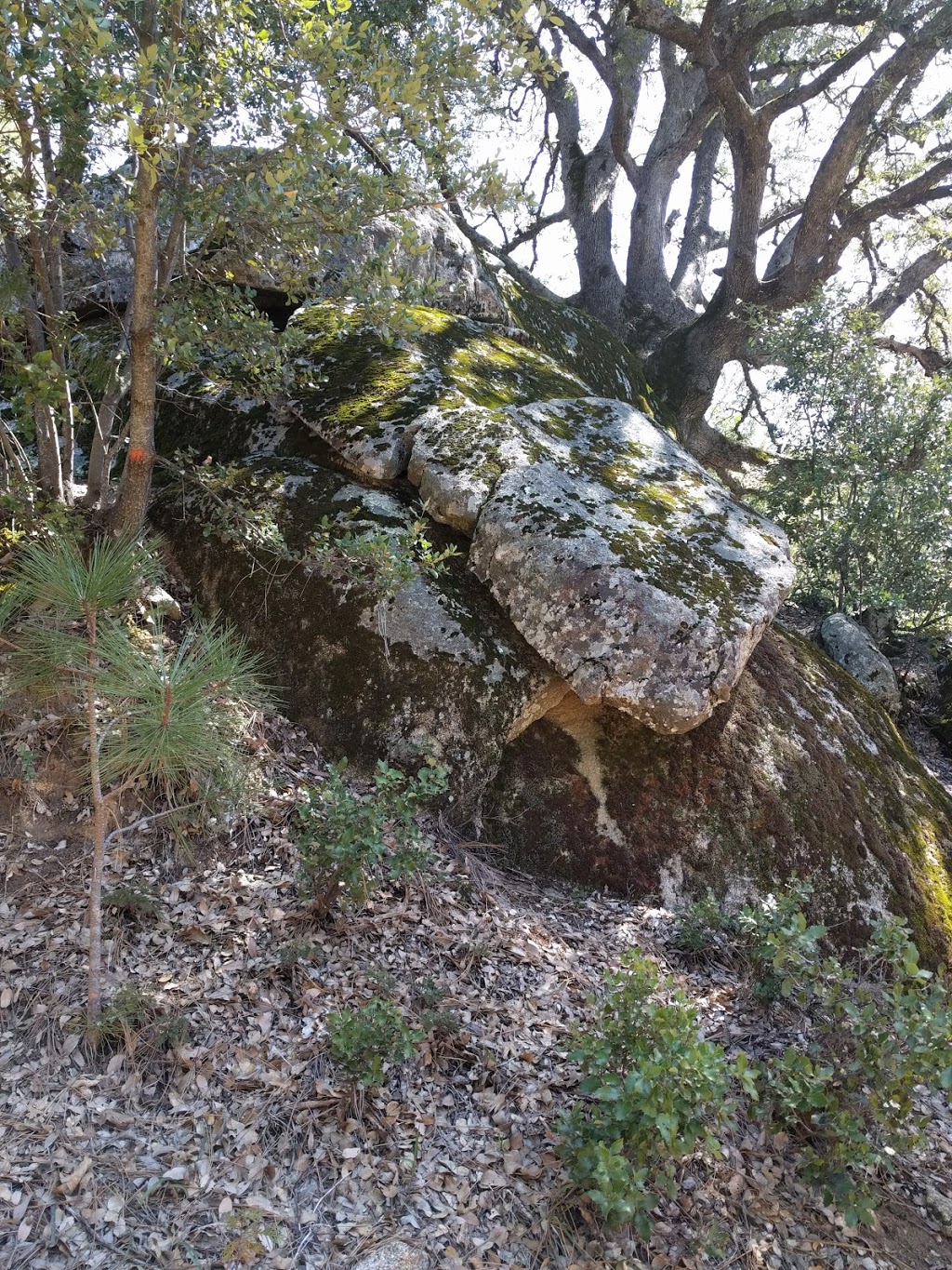 Twain Harte Golf Course | restaurant | 22909 Meadow Dr, Twain Harte, CA 95383, USA | 2095863131 OR +1 209-586-3131