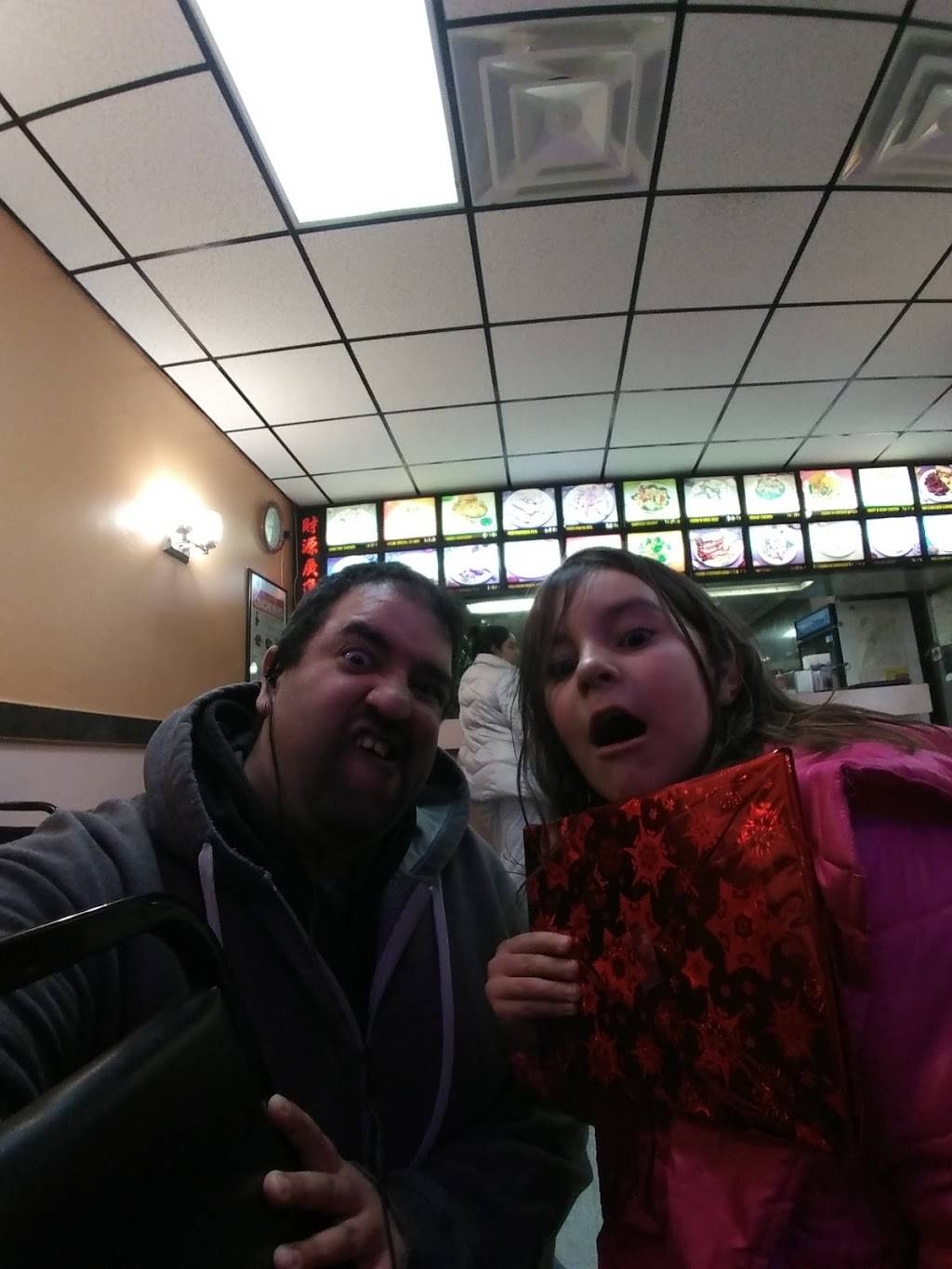 Great Wok | restaurant | 35 Woodbury Rd, Hicksville, NY 11801, USA | 5169396688 OR +1 516-939-6688