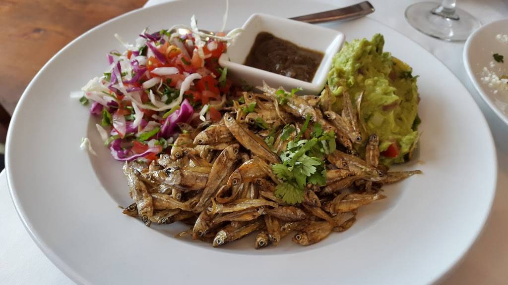 Sol de Mexico | restaurant | 3018 N Cicero Ave, Chicago, IL 60641, USA | 7732824119 OR +1 773-282-4119