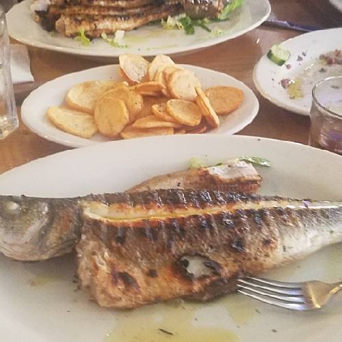 Three Brothers Restaurant | restaurant | 8825 General Dr, Plymouth, MI 48170, USA | 7344163393 OR +1 734-416-3393