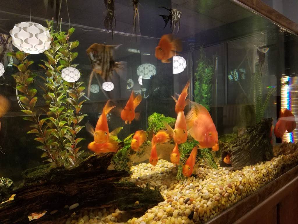 Ho-Ho Chinese Restaurant | restaurant | 1801 Zumbehl Rd, St Charles, MO 63303, USA | 6369479100 OR +1 636-947-9100