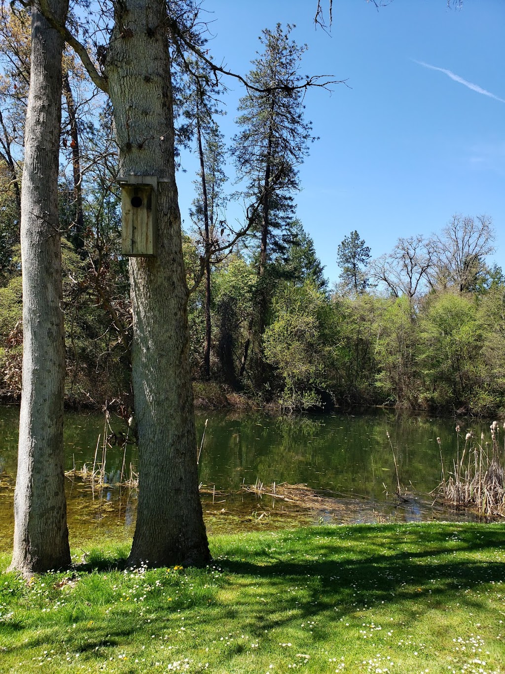 Laurel Hill Golf Course | restaurant | 9450 Old Stage Rd, Central Point, OR 97502, USA | 5418557965 OR +1 541-855-7965