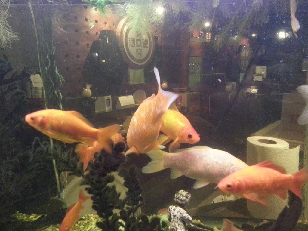 Bedford D Asie | restaurant | 65 Rue Principale, Bedford, QC J0J 1A0, Canada | 4502482399 OR +1 450-248-2399