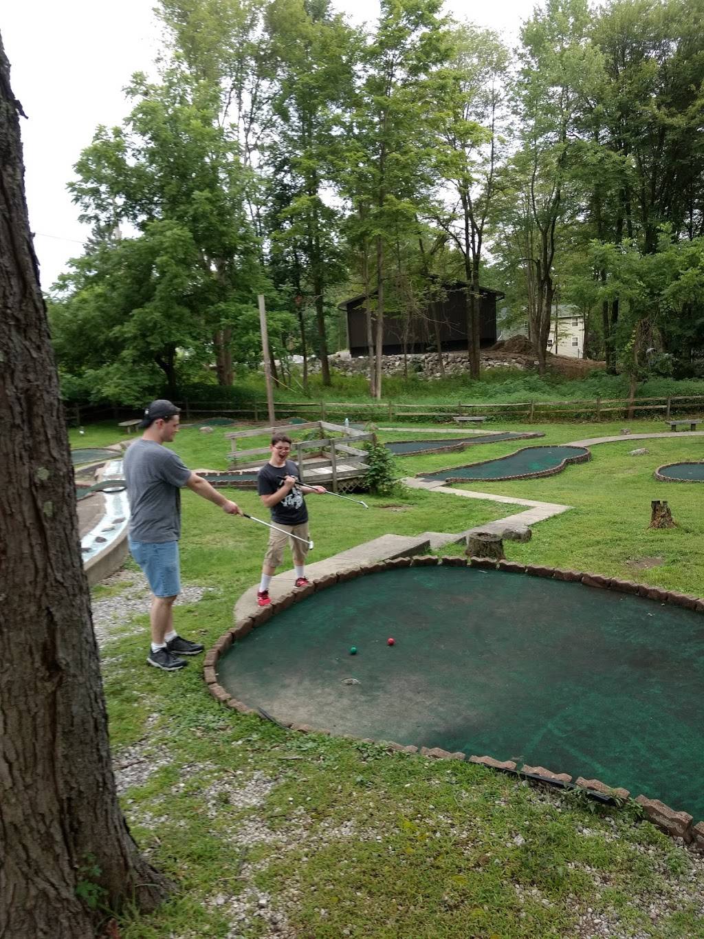 Pizza Joes | restaurant | 10571 PA-18, Conneaut Lake, PA 16316, USA | 8143820222 OR +1 814-382-0222