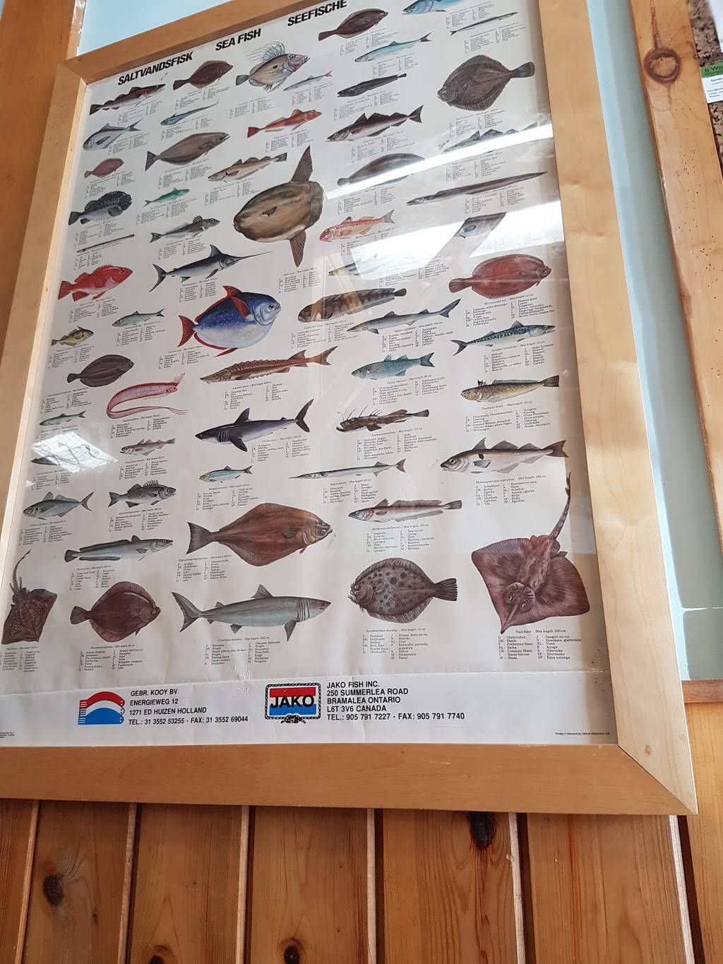 Mr Chips Fish Diner | restaurant | 129 Colborne St W, Brantford, ON N3T 1K9, Canada | 5197511141 OR +1 519-751-1141