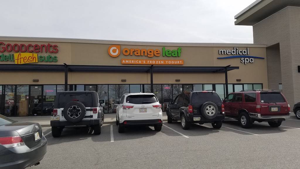 Orange Leaf Frozen Yogurt | restaurant | 16811 Burke St, Omaha, NE 68118, USA | 4029347800 OR +1 402-934-7800