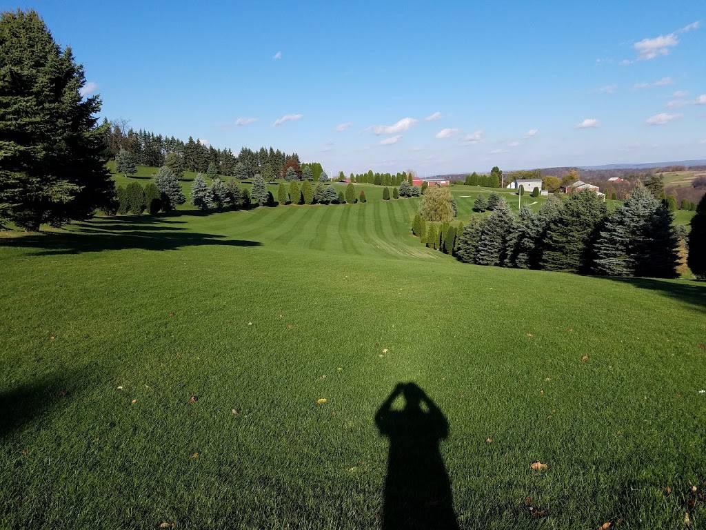 Lemon Drop Lounge | restaurant | 260 Clubhouse Ln, Ebensburg, PA 15931, USA | 8143448749 OR +1 814-344-8749