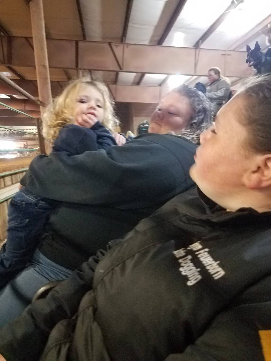 Longhorn ARENA | restaurant | 8802 State Hwy M, Mt Vernon, MO 65712, USA | 3083802244 OR +1 308-380-2244