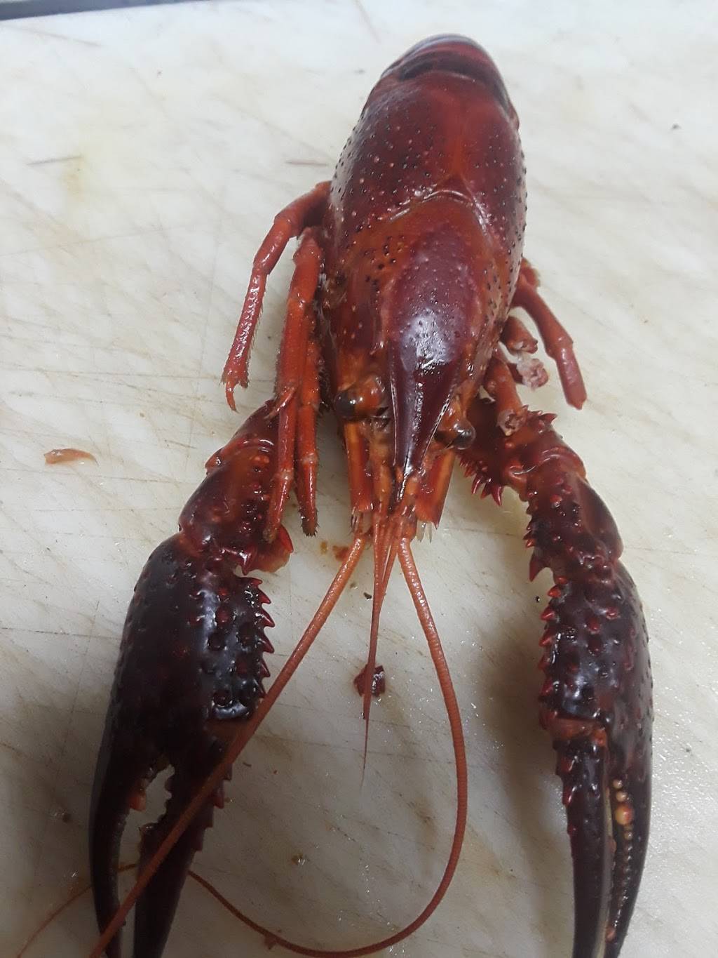 China King Buffet | restaurant | 535 Pine Island Rd D, North Fort Myers, FL 33903, USA | 2399958188 OR +1 239-995-8188