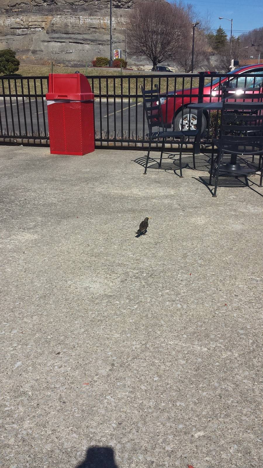 Dairy Queen Grill & Chill | restaurant | 101 Black Gold Ct, Hazard, KY 41701, USA | 6064360451 OR +1 606-436-0451