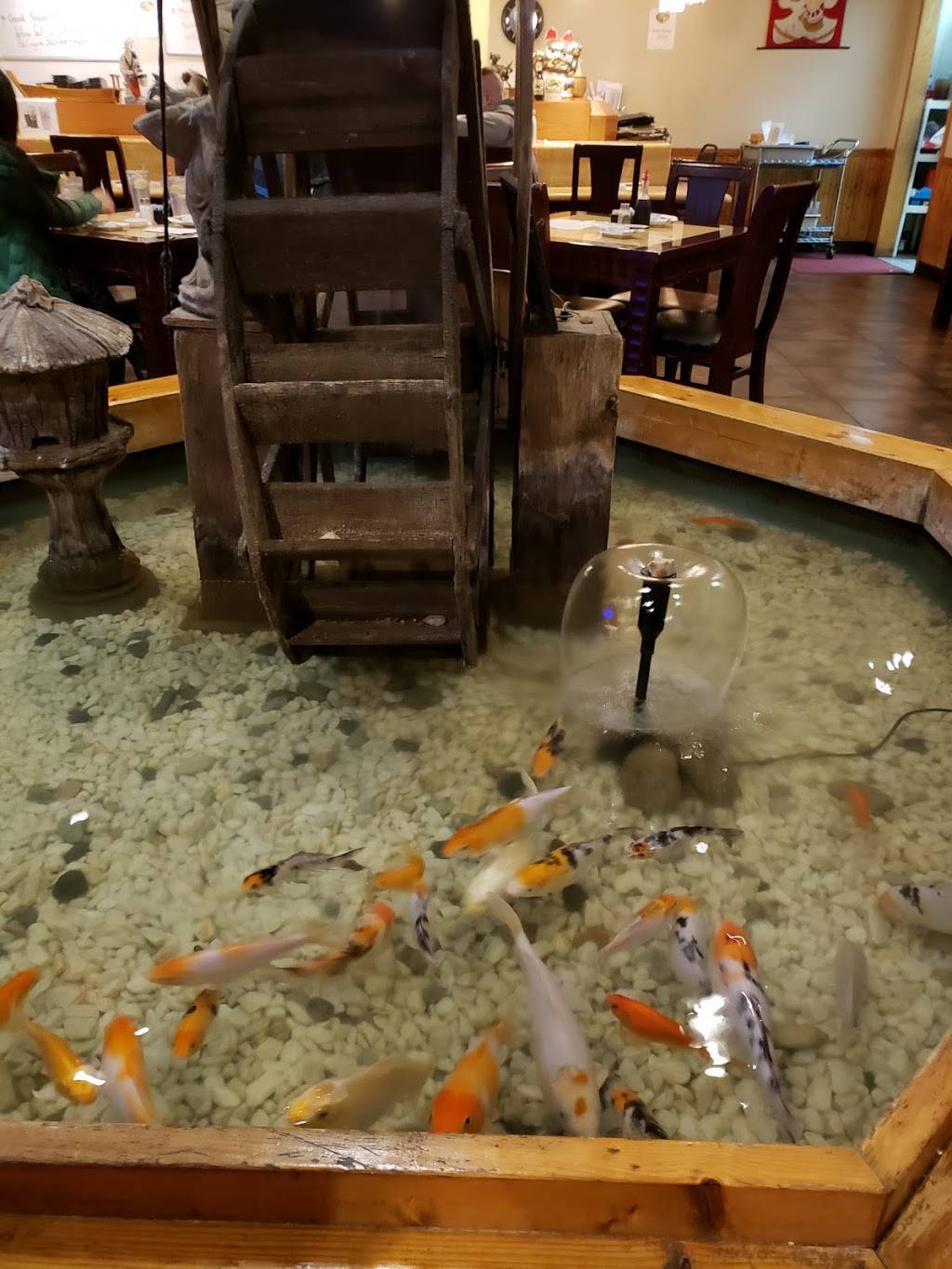 Edohana Hibachi Sushi | restaurant | 5816 SW Loop 820, Fort Worth, TX 76132, USA | 8177316002 OR +1 817-731-6002