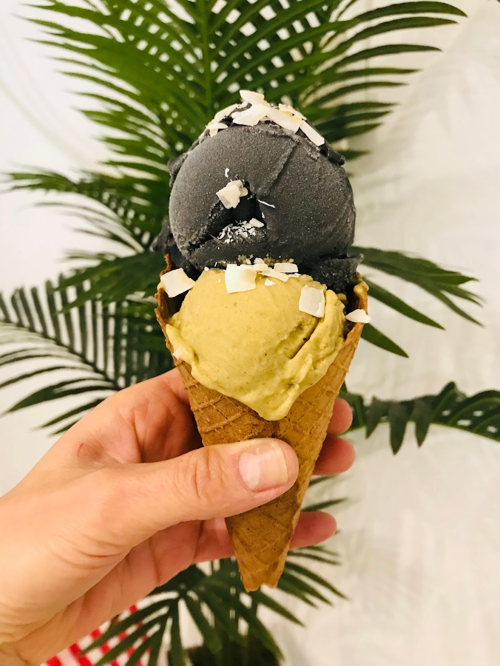 Coco NIce | restaurant | 3407 S MacDill Ave, Tampa, FL 33629, USA | 8134172644 OR +1 813-417-2644