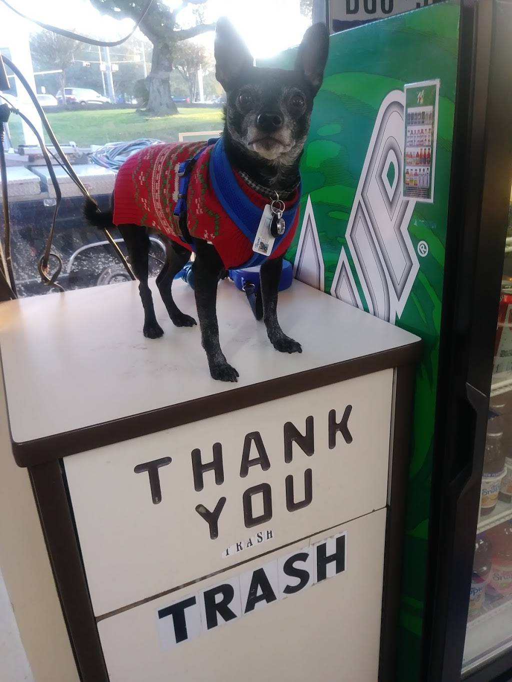 Jrs Tacos | restaurant | 1921 Cedar Bend Dr, Austin, TX 78757, USA | 5128315554 OR +1 512-831-5554