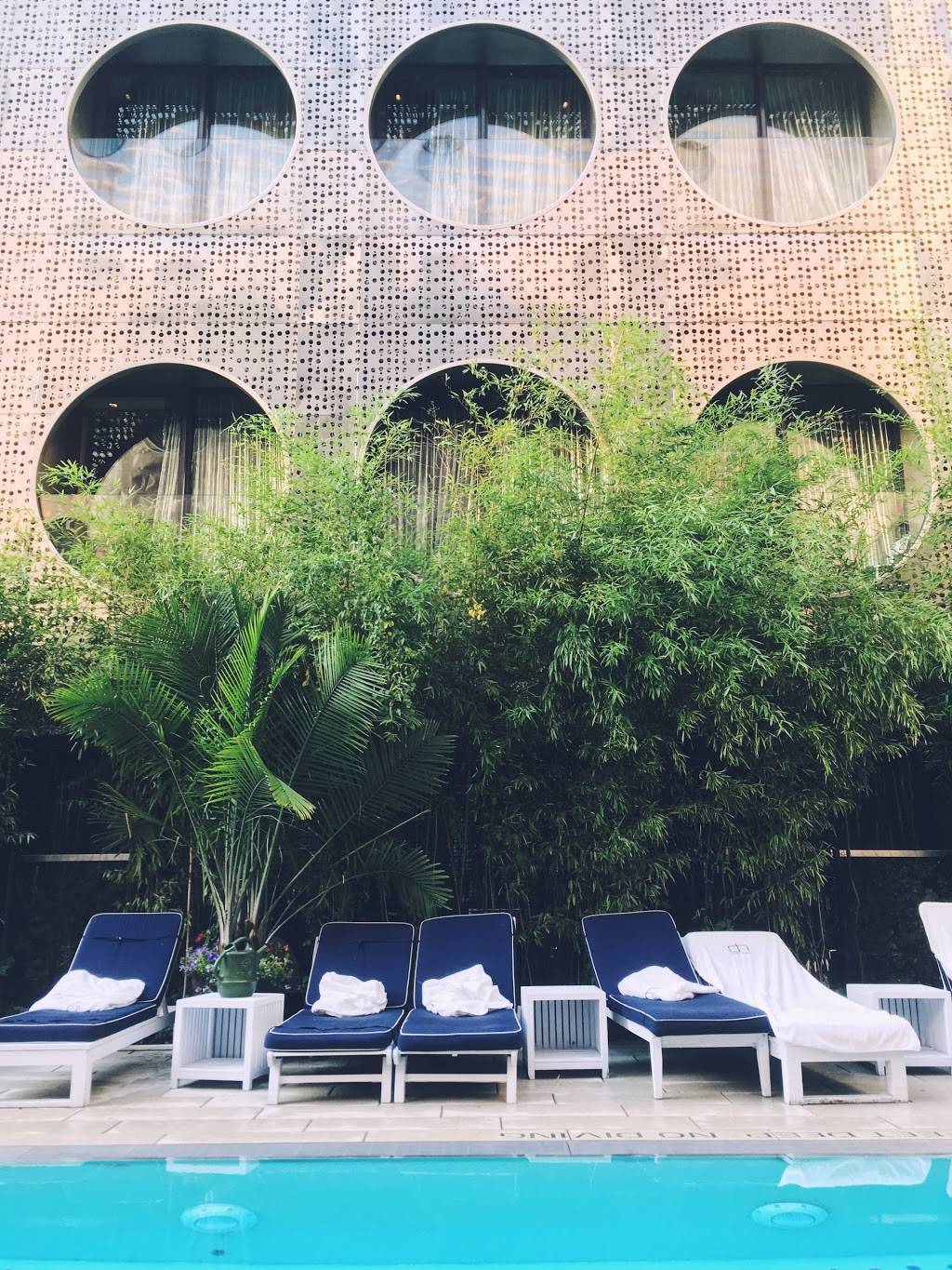 The Beach | restaurant | 355 W 16th St, New York, NY 10011, USA | 2122292336 OR +1 212-229-2336