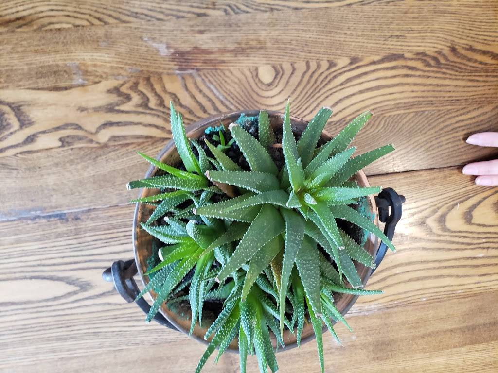 North Market Cafe + Catering | restaurant | 78 Mill St, Almonte, ON K0A 1A0, Canada | 6132562676 OR +1 613-256-2676