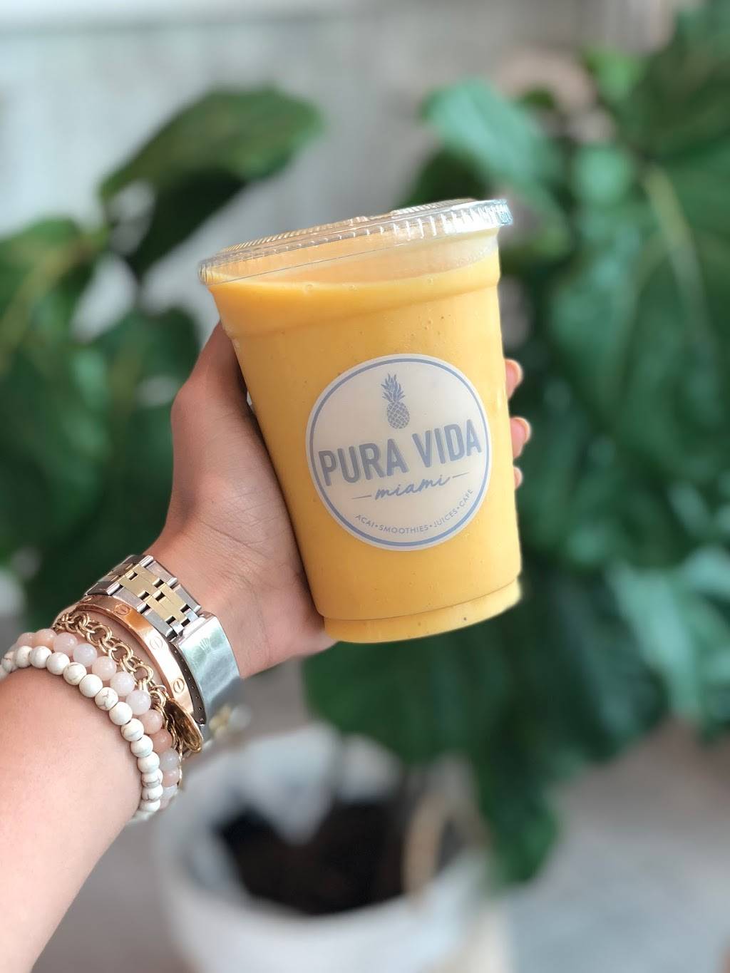 Pura Vida Coral Gables | restaurant | 1100 Stanford Dr, Coral Gables, FL 33146, USA | 3052849556 OR +1 305-284-9556