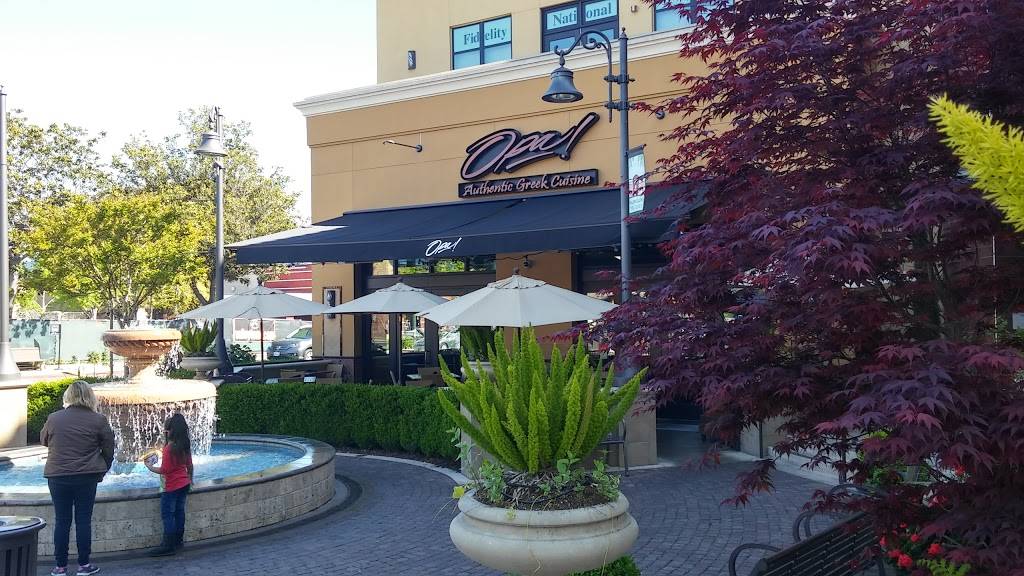 Opa! Willow Glen | restaurant | 1100 Lincoln Ave, San Jose, CA 95125, USA | 4088664570 OR +1 408-866-4570