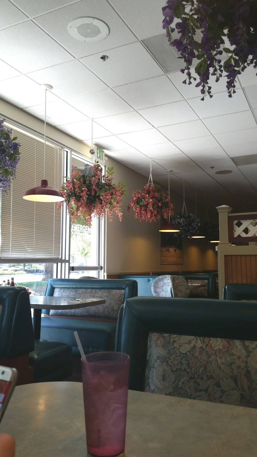 Country Waffles- Antioch | restaurant | 5865 Lone Tree Way ste a, Antioch, CA 94531, USA | 9257790134 OR +1 925-779-0134